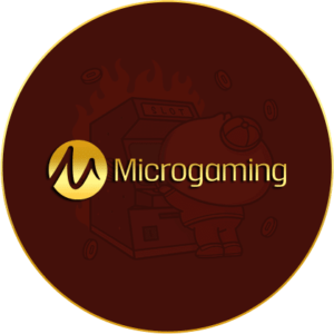 Micro_gaming-300x300